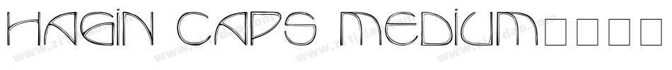 Hagin Caps Medium字体转换